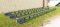 Roof top green chain 10' X 30'