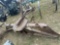 heavy duty three-point blade, approximately 7 foot