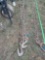 20 Ft. Heavy duty Log chain