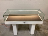 Lighted Metal and Glass Display Cases 20