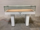Lighted Metal and Glass Display Cases 20
