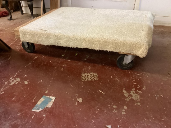 31 x 46 padded cart