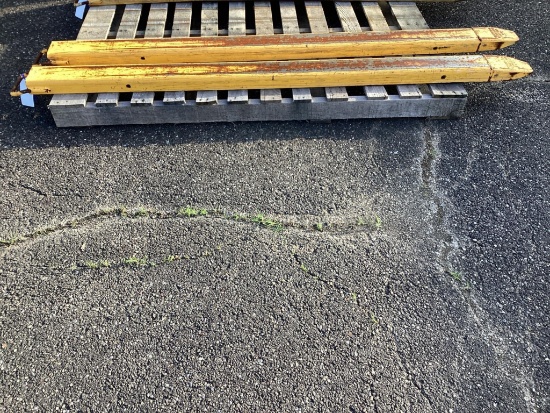 (Inv.244) 84" Fork Extensions
