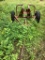 Log Cart