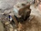 Philadelphia Gear Works Gear Box