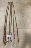 3 - 20' Chains with Hooks