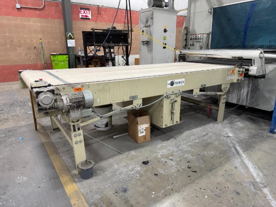 Phoenix Power Belt Conveyor, 48" x 10' .