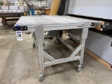 McKenzie 52''x48'' Power Belt Conveyor Adjustable Height .