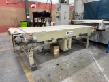 Phoenix Power Belt Conveyor, 48