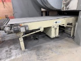 Phoenix power Belt Conveyor, 48