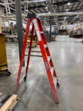 Werner 6' Step Ladder .
