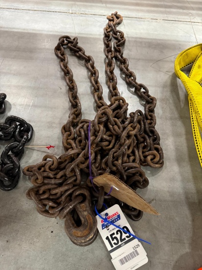 3/8'' x 20' Chain with 2 Hooks