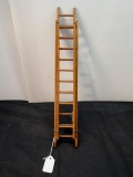 Salesman Sample Extension Ladder