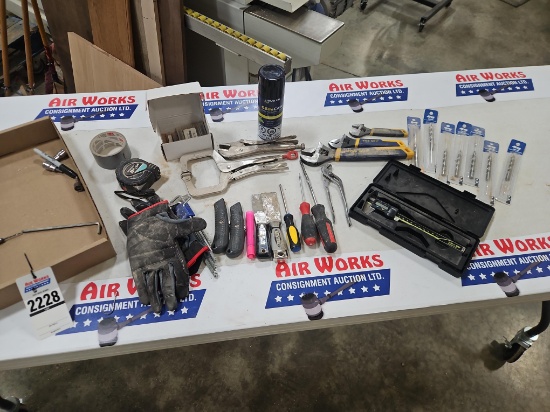 Assorted Hand Tools - Adjustable Wrenches, Calibers, Vise Grips, Bits