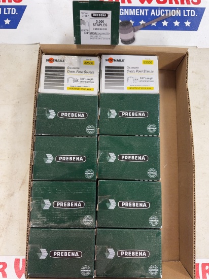 Prebena & Spotnails 20GA Galvanized Staple