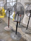 (2) Pedestal Shop Fans, 28 Inch