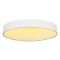 22 - Needs Driver or LED Disc MEDO 60 LED, interior ceiling fixture, Ø:600mm x H:113mm, WA1802041351