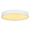 20 - Needs Driver or LED Disc MEDO 60 LED, interior ceiling fixture, Ø:600mm x H:113mm,  WA180704135