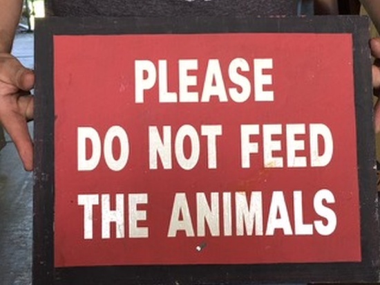 Sign - "Please Do Not Feed the Animals" measuring 14" X 11"