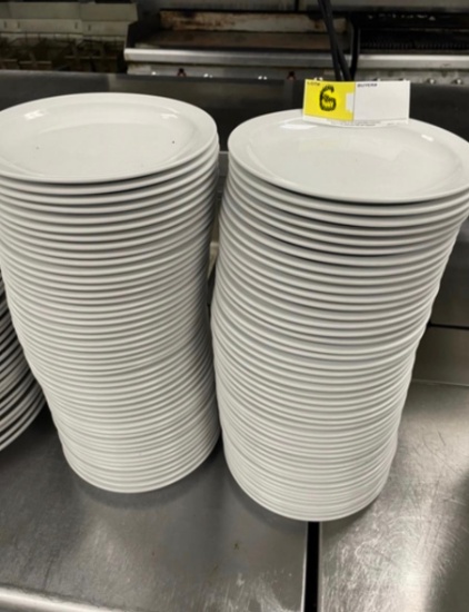 Lot of 48 Plates 11", X $