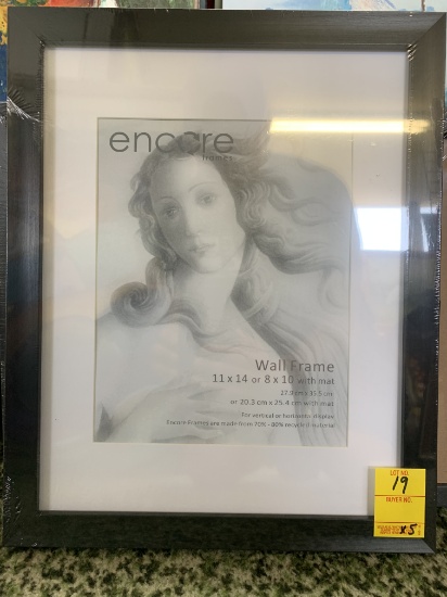 Qty. 5 - Encore Wall Frames (11" x 14") or (8" x 10" with mat), X $
