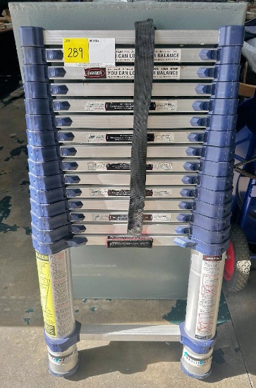 TELESCOPIC LADDER