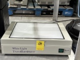UVP White Light Transilluminator