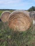 Round bale. straw