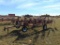 H&S 10 Wheel Bifold Hay Rake,