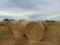 (20) Bales of Blue Stem Hay, 4 x 5 1/2,...Net Wrap, Baled in August ( Bid $ X 20), loader available