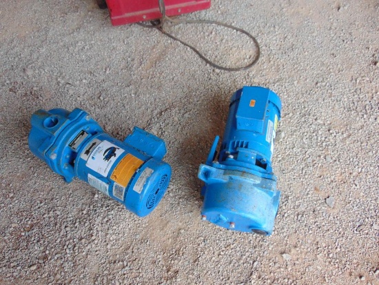 (2) Goulds Pumps, non submersible, Located in Marlow Yard