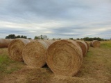 (20) Bales of Blue Stem Hay, 4 x 5 1/2,...Net Wrap, Baled in August ( Bid $ X 20), loader available