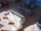 (3) Pallets of Misc Hose, Pumps & Parts....Yard 1