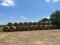 (20) 4X6 ROUND BALES OF WHEAT HAY, BALED THIS YEAR SALES BY THE BALE ( BID X 20 ) LOCATED IN YARD 1