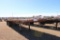 TRANSCRAFT TL42 T/A TRAILER, BILL OF SALE...