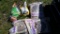 LOT-PINE BARK AND LAWN FEED