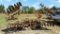 AMCO 22FT DISC HARROW
