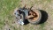 (2) DIXIE CHOPPER TIRES W/RIMS