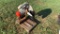 RIDGID METAL CHOP SAW