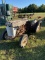 Salvage Ford 800 2wd Tractor