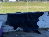 Brazilian Cow Hide