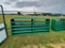 New 10ft Green Gate