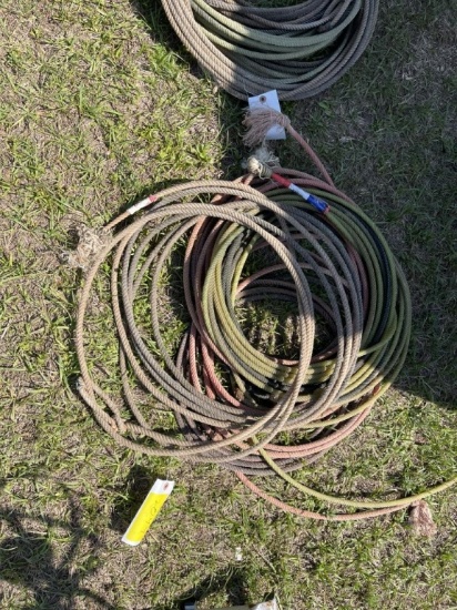 5 Cowboy Ropes