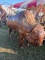 Xl Buffalo Statue, Copper Color, 5'h X 7'l,