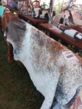 Brazilian Cowhide