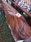 Brazilian Cowhide