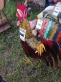 Metal Red & Yellow Rooster
