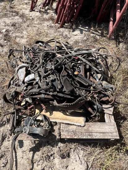 Pallet Of Horse Bridals And Harnesses