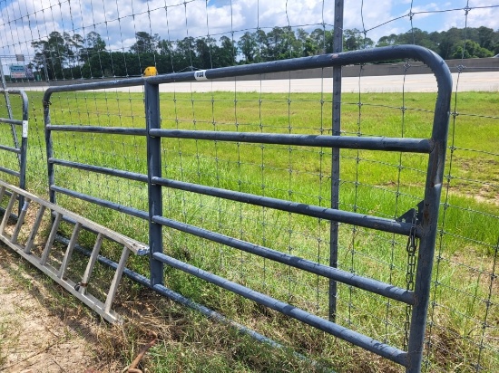 Countryline 10 Ft Metal Gate