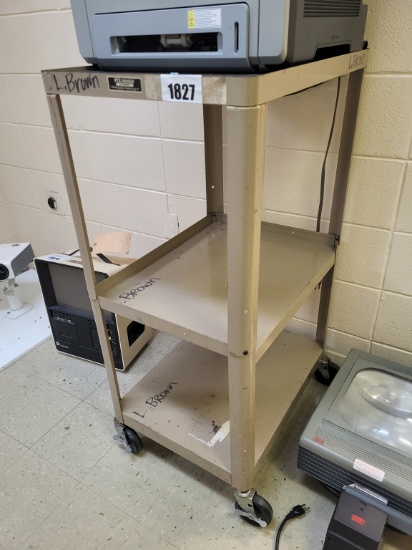 Rolling Metal Cart Tan 24x43